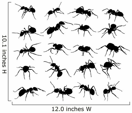 Twenty Ant Silhouettes