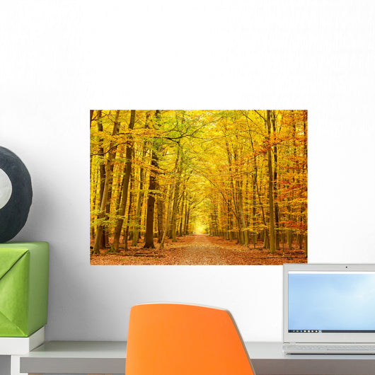 Pathway in the autumn park Wall Mural