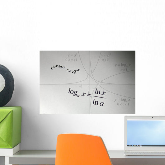 Exponentialfunktion / Logarithmusfunktion Wall Mural