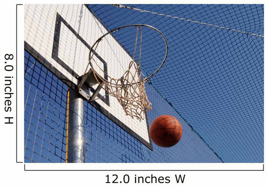 Cesto Da Basket
