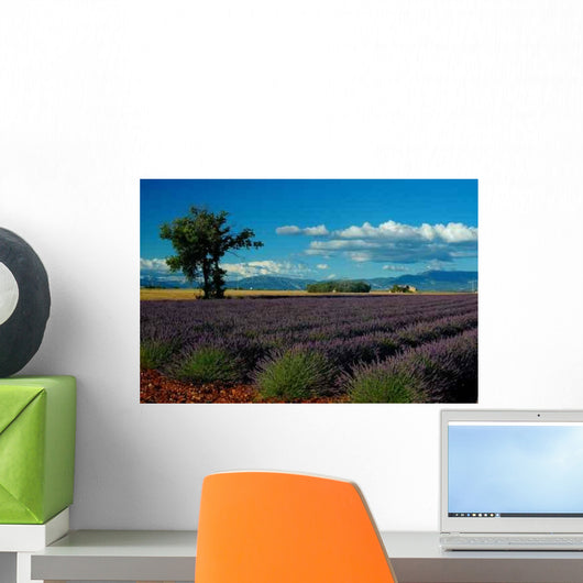 Lavande Valensole Wall Decal