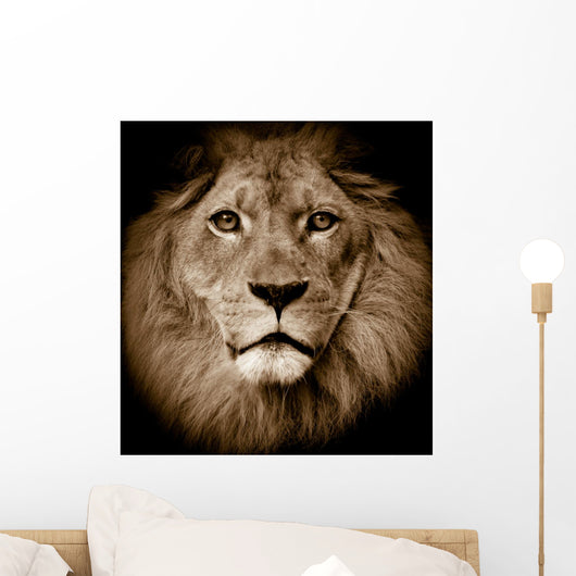 Lion Portrait Wall Mural