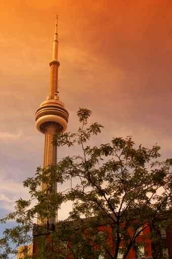 Toronto Wall Decal
