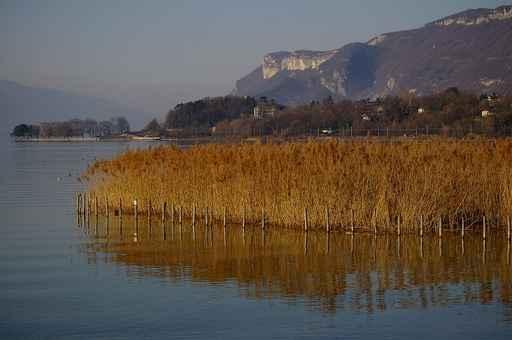 Lac Du Bourget 2 Wall Decal