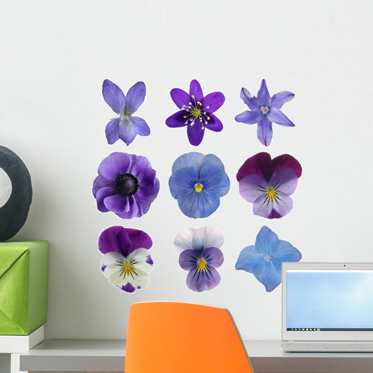 Collection Blue Flowers