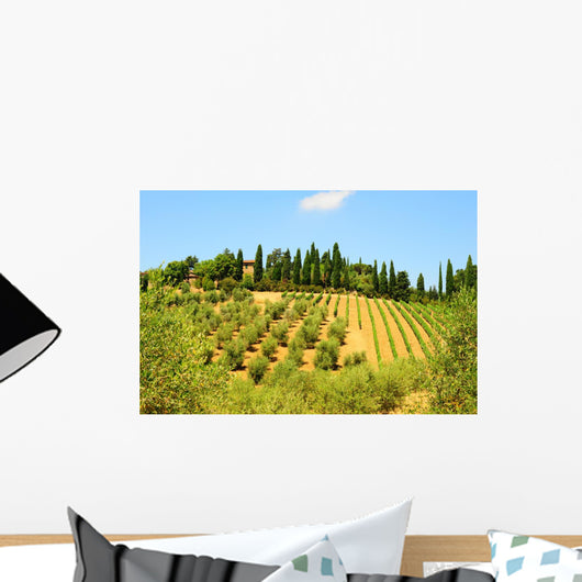 Hill Of Tuscany Wall Mural