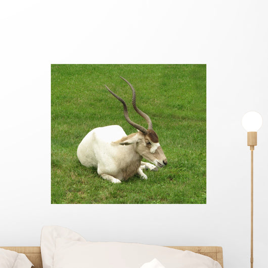 Addax Antelope Wall Mural