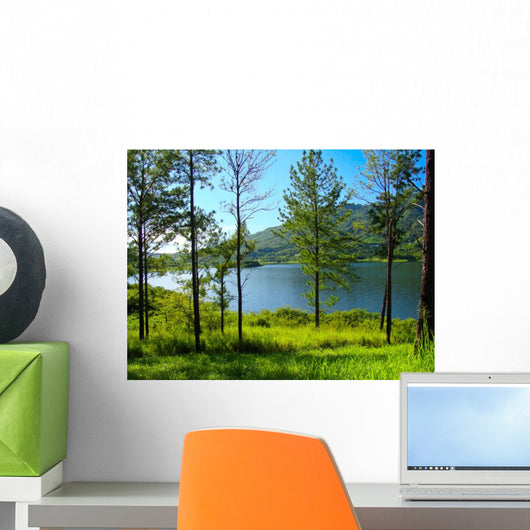 Lake Wall Mural