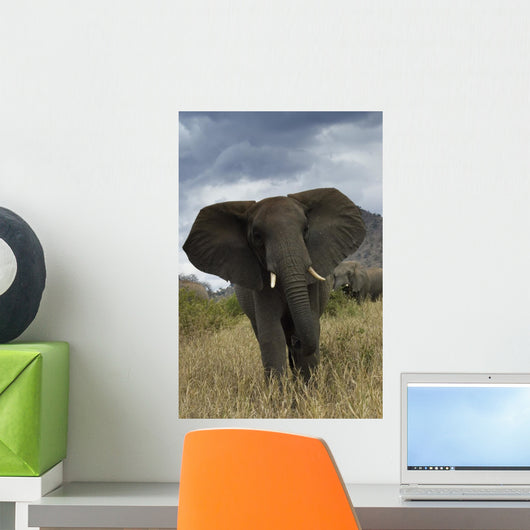 Angry Elephant