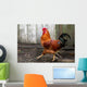 Beautiful Red Cock Wall Mural