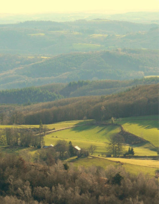 Landscape Wall Mural