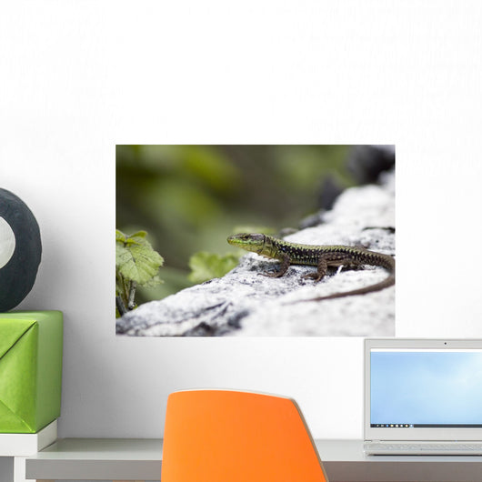 Lizard Forest Wall Mural