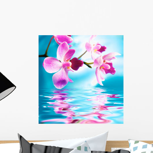 Beautiful orchid flowers reflected in water Wall Mural