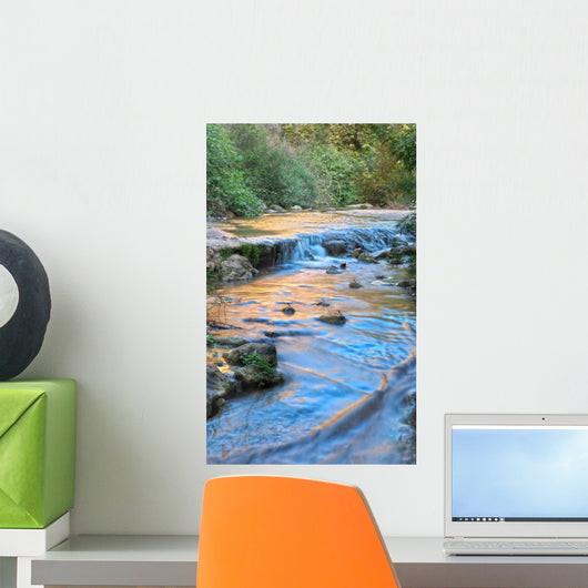 Kziv River Wall Mural