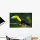 Keel Billed Toucan, from Central America. Wall Mural