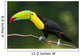 Keel Billed Toucan, from Central America. Wall Mural