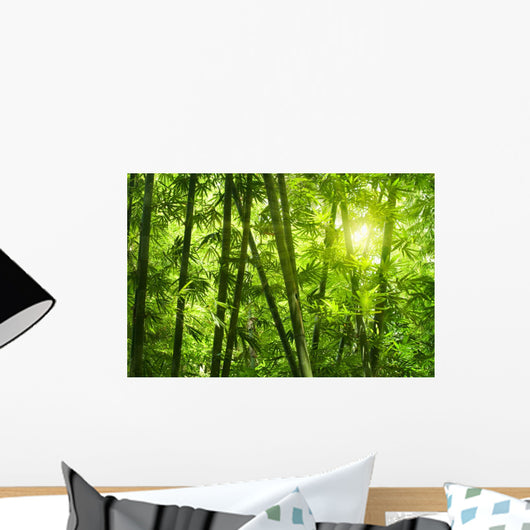 Bamboo Forest Wall Mural