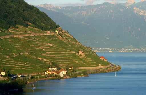 Lavaux Et Leman Wall Decal