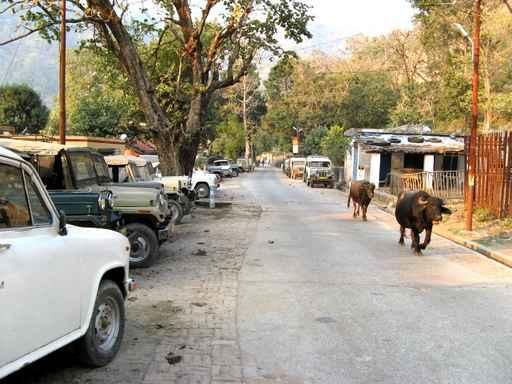 Street Rishikesh Wall Decal