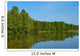 Reflection Trees Lake Vaasa