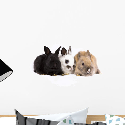 Three Bunny Rabbits Wall Decal
