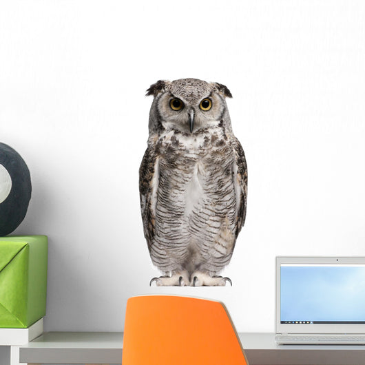 Great Horned Owl Bubo Virginianus Subarcticus Wall Decal