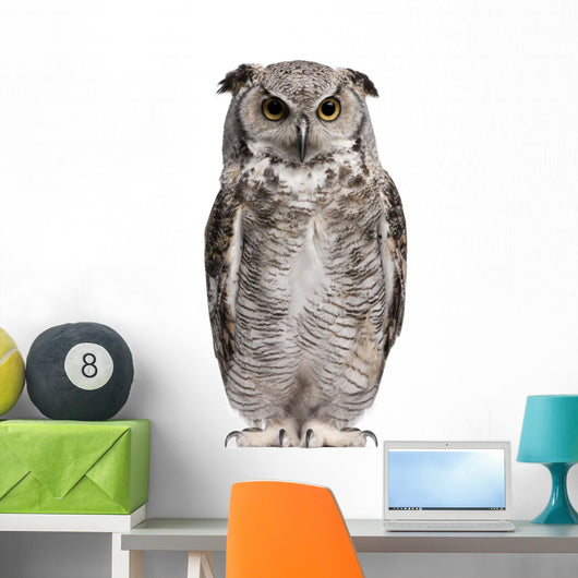 Great Horned Owl Bubo Virginianus Subarcticus Wall Decal