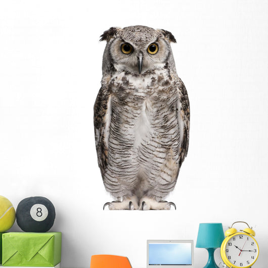 Great Horned Owl Bubo Virginianus Subarcticus Wall Decal