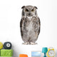 Great Horned Owl Bubo Virginianus Subarcticus Wall Decal