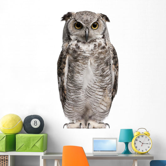 Great Horned Owl Bubo Virginianus Subarcticus Wall Decal