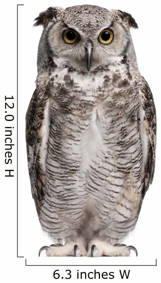Great Horned Owl Bubo Virginianus Subarcticus Wall Decal