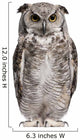 Great Horned Owl Bubo Virginianus Subarcticus Wall Decal