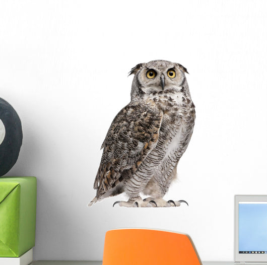 Great Horned Owl, Bubo Virginianus Subarcticus Wall Decal