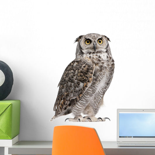 Great Horned Owl, Bubo Virginianus Subarcticus Wall Decal