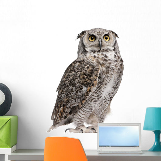 Great Horned Owl, Bubo Virginianus Subarcticus Wall Decal