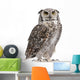 Great Horned Owl, Bubo Virginianus Subarcticus Wall Decal