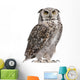 Great Horned Owl, Bubo Virginianus Subarcticus Wall Decal