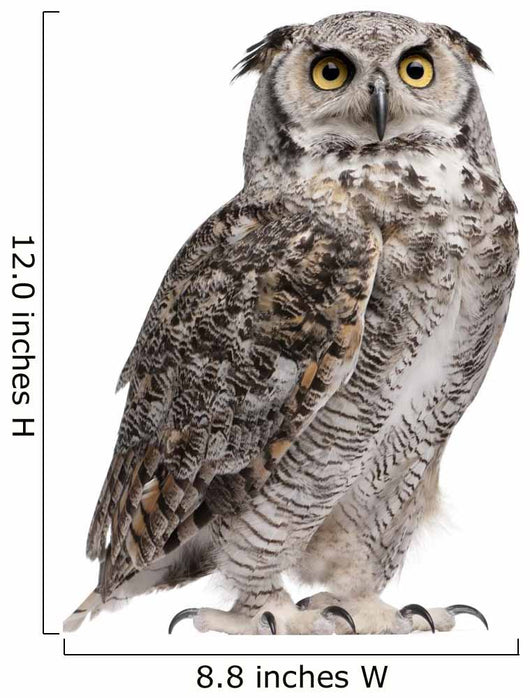 Great Horned Owl, Bubo Virginianus Subarcticus Wall Decal