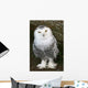 Snowy Owl Wall Mural