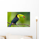 Keel Billed Toucan from