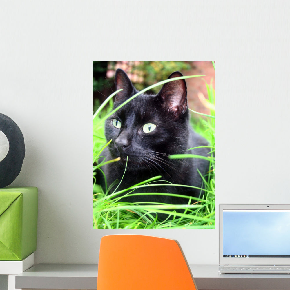 Black Cat Print - Girls Wall Art - La Paper Passion