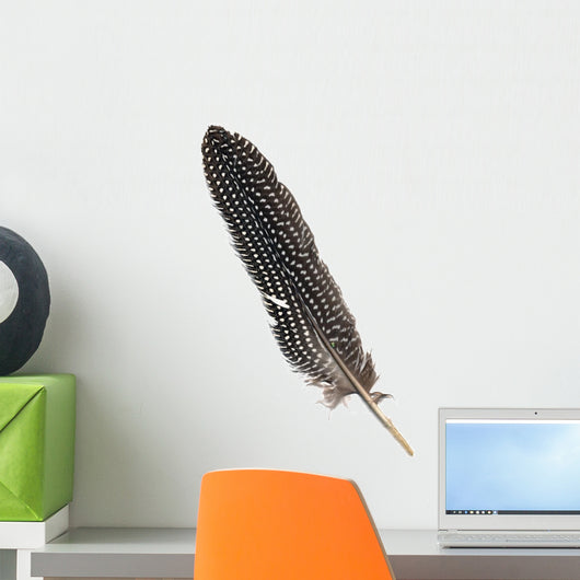 Guinea Fowl Plume Wall Mural