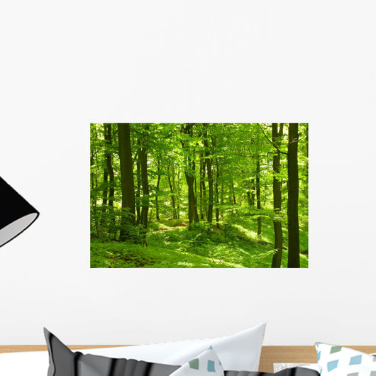 Green Summer Forest