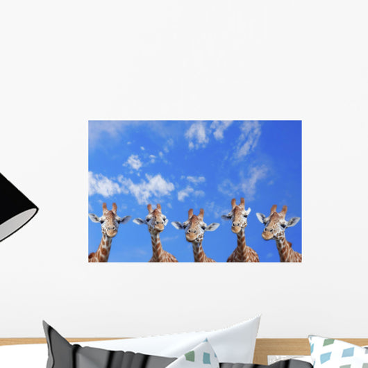 Giraffes Wall Mural