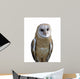 Barn Owl Isolation Wall Decal