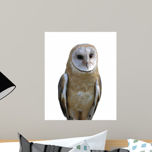 Barn owl isolation Wall Decal
