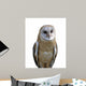 Barn owl isolation Wall Decal