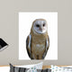 Barn owl isolation Wall Decal