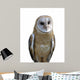 Barn owl isolation Wall Decal