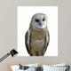 Barn owl isolation Wall Decal